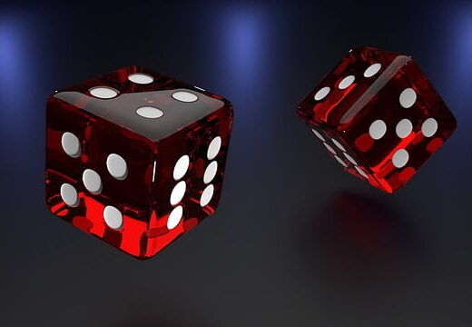 The Economics of Sports Betting