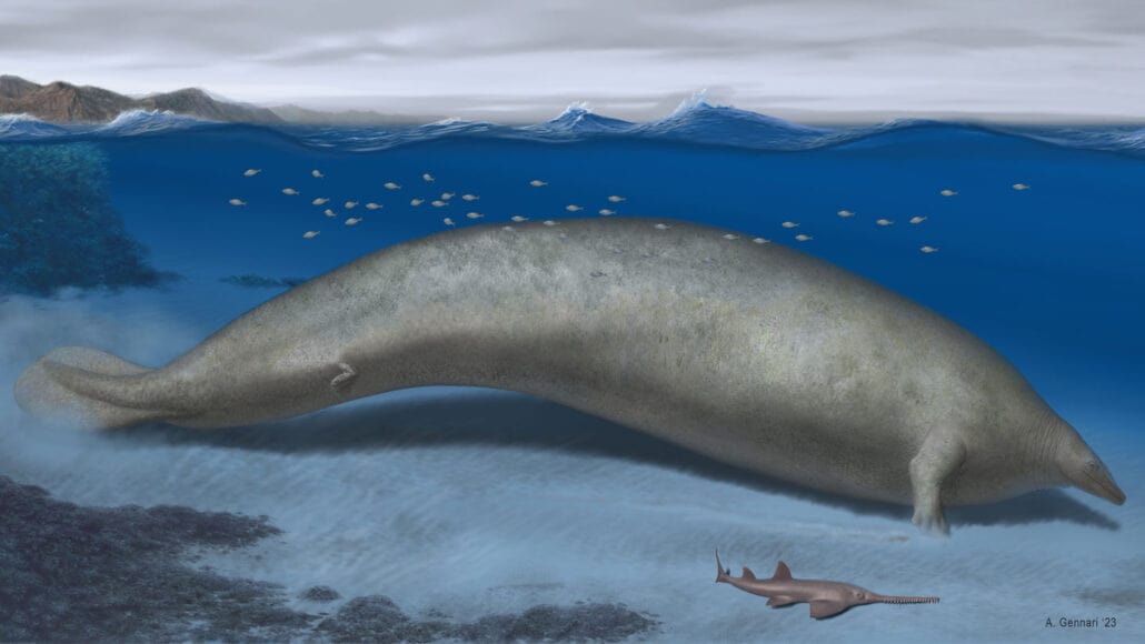 Unveiling the Colossal Ancients: A Whale to Rival All Weight Records