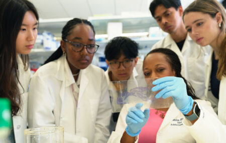 Cannabis and the Developing Brain: Neuroscientist Yasmin…