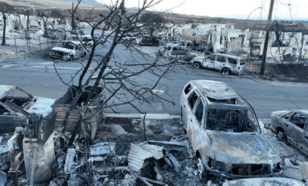 Unaccounted for After Wildfires: Hawaii Releases List of…