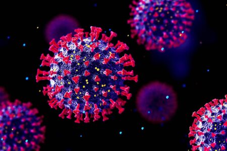 Unveiling the Enigmatic World of Giant Viruses Beneath…