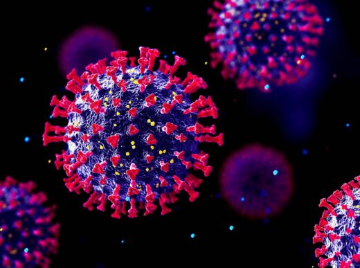Unveiling the Enigmatic World of Giant Viruses Beneath the Soil