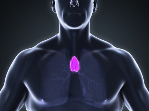 Unlocking the Enigmatic Role of the Thymus in Adult Health