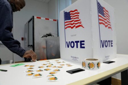 Alleged Conspiracy to Seize Michigan Voting Machines…