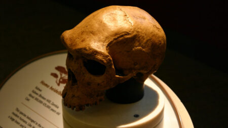 Ancient Ancestors: Surviving the Icy Abyss New DNA…