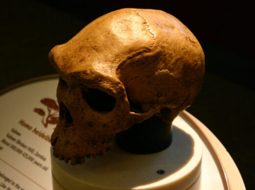 Ancient Ancestors: Surviving the Icy Abyss – New DNA Analysis Reveals the Close Call