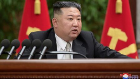 Kim Jong Uns Potential Meeting with Putin: