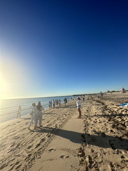 Miamis Lavish Meditation Beach Walk