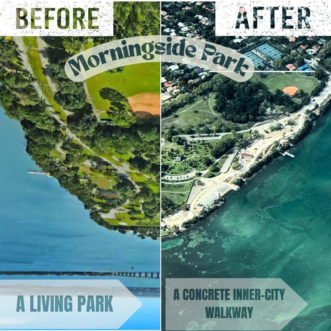 Miami Residents Revolt Against Morningside Park Concrete Transformation: Before vs. After Tells the Whole Story